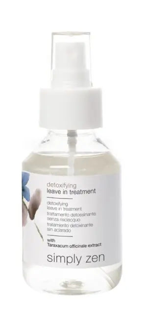 Detoxifying Leave-In Treatment 100 ml