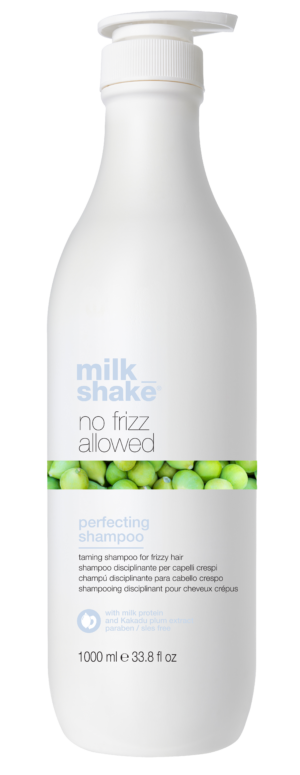 No Frizz Allowed Perfecting Shampoo