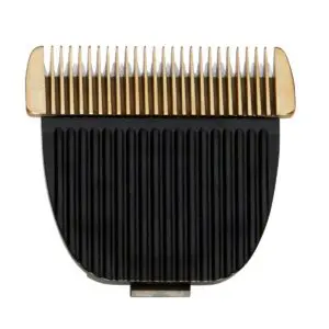 Clipper 021 Head