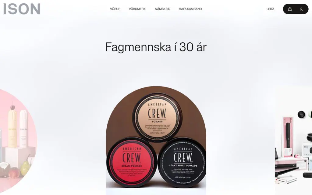 Forsíða nýju vefsíðu ISON